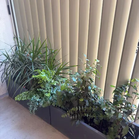 Mestalla Flats & Rut Apartamento Valencia